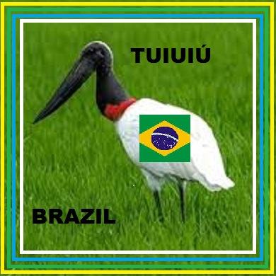 imagem